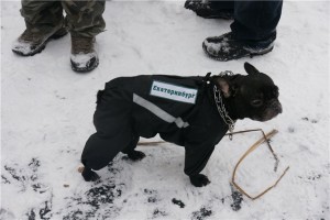 А это Буч. Как же его затискали в тот день - он наверно до сих пор отходит бедолага